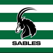 Zimbabwe Sables rugby team logo